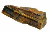 Polished Tiger's Eye Section - South Africa #148297-2